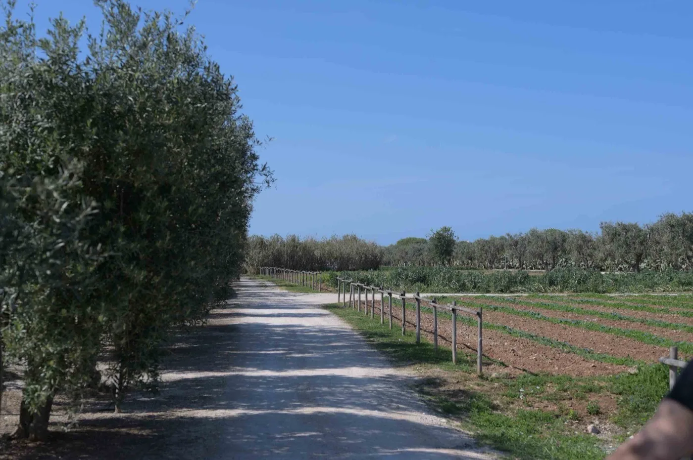 Borgo Egnazia — Brindisi 5