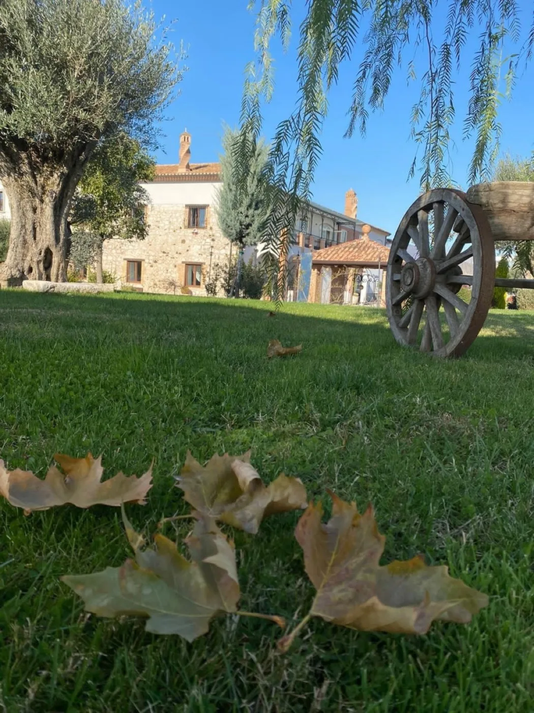 Tenuta D'Ausilio — Caserta 11