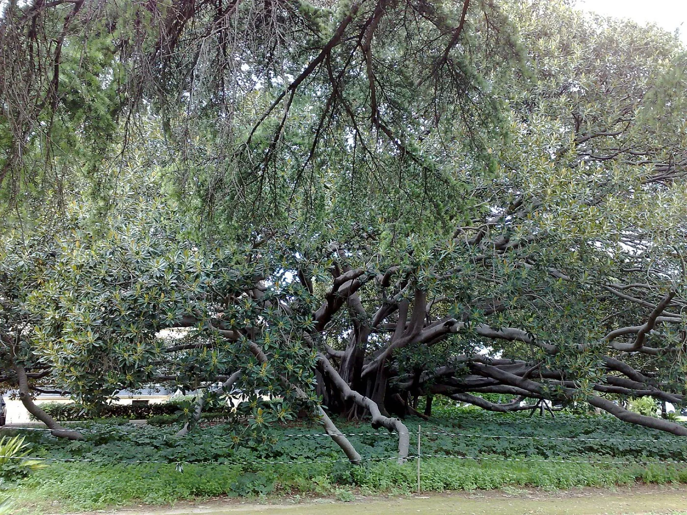 Villa Malfitano Whitaker — Palermo 4