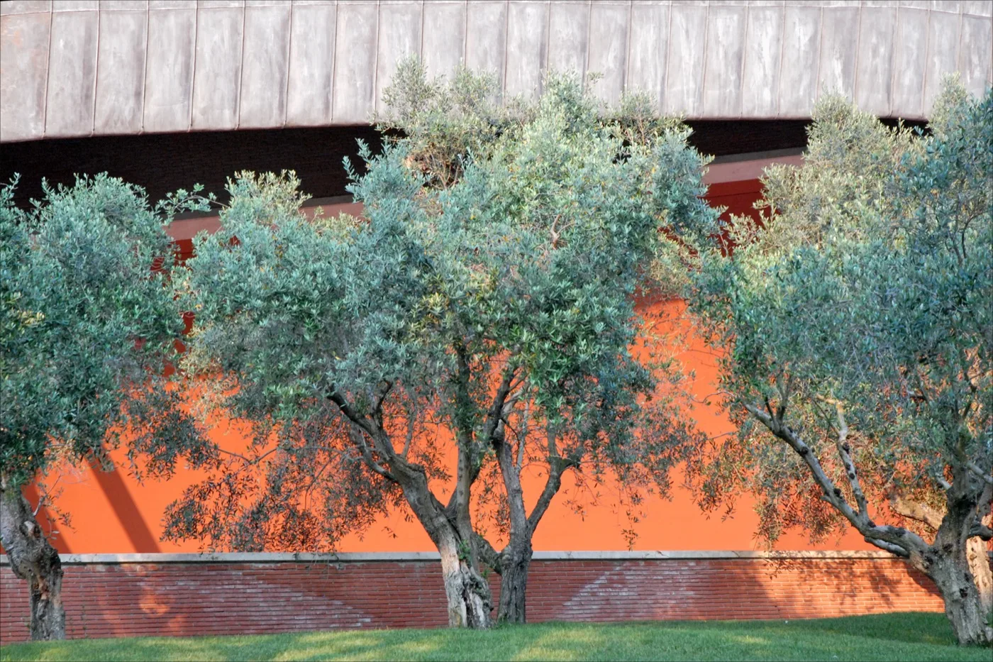 Auditorium Parco della Musica — Roma 3