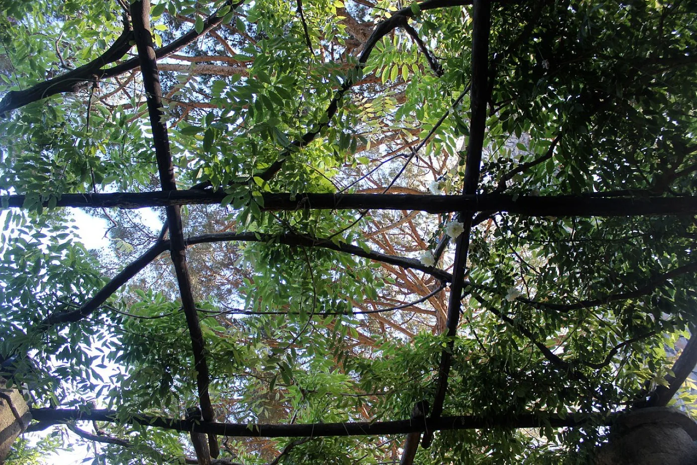 Villa Cimbrone — Costiera & Sorrento 4