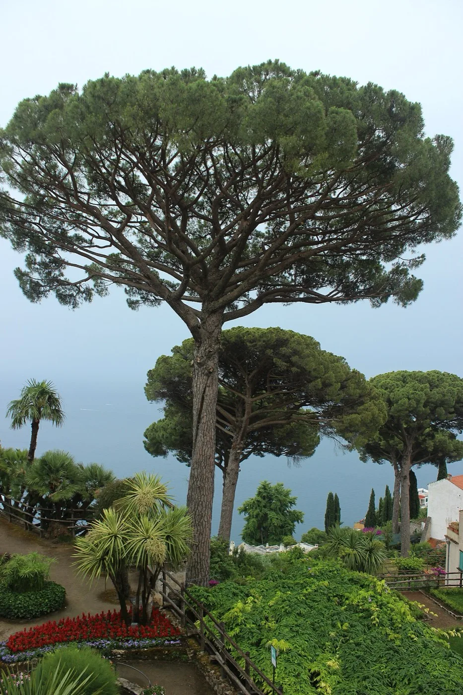 Villa Rufolo — Costiera & Sorrento 15